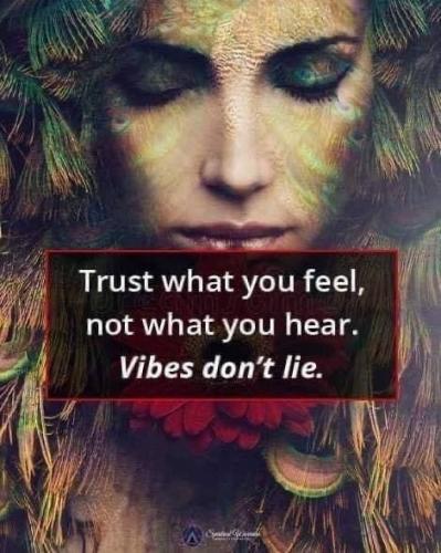 0EAD2A1F-5D1F-4665-994E-F232F7D48AFD