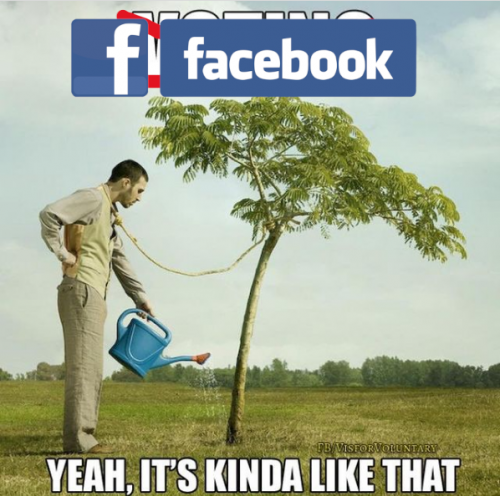 FaceBookHangingTree