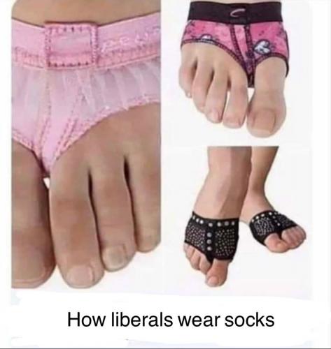 img - 2021-09-26T171119.221