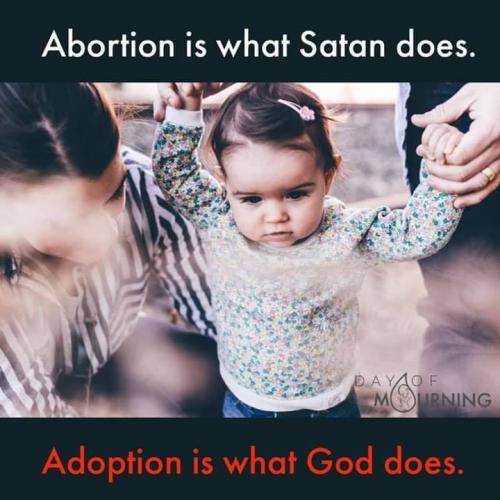 56408522_1968332186609452_2749630185929179136_n