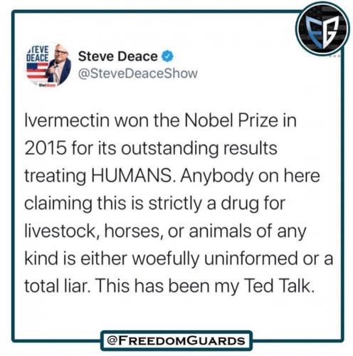 241526681_4363760680356503_8329772940264232413_n