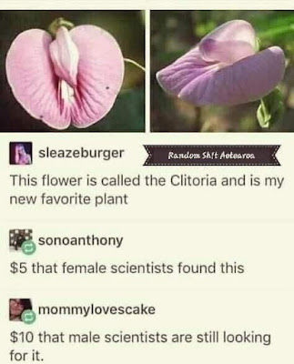 157966887_267382814854186_1039063149661174689_n