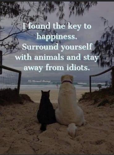 246EABA5-F59A-40C2-8868-45FEF392DAF8