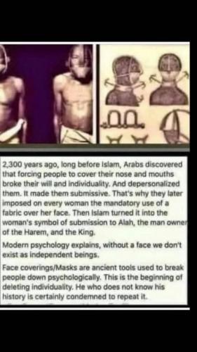 69F91C6B-A675-4298-8871-D1479355DE91