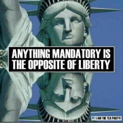 IMG_20210831_203033_606