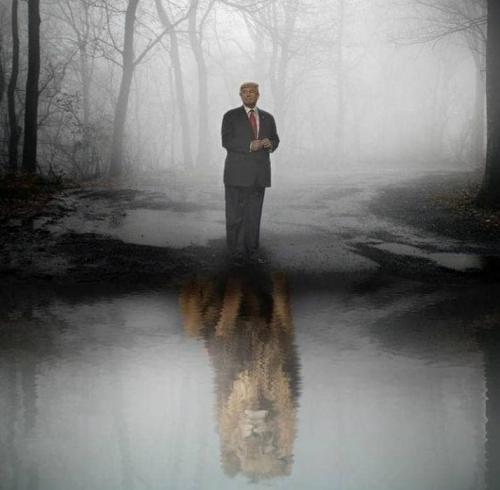 photo_2021-06-23_13-08-28