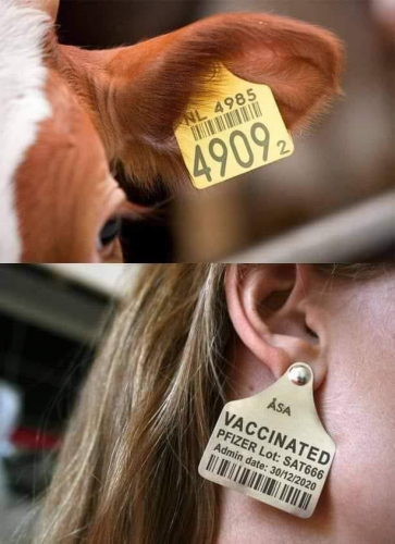 tags