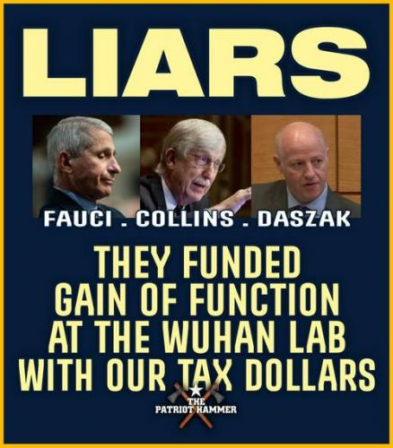 37ede893bd6d4be6cfb8efb7fa11e90e_500x0