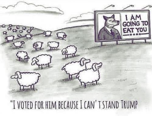 436BABF0-68F9-443D-AF73-8CA6BADFAC27