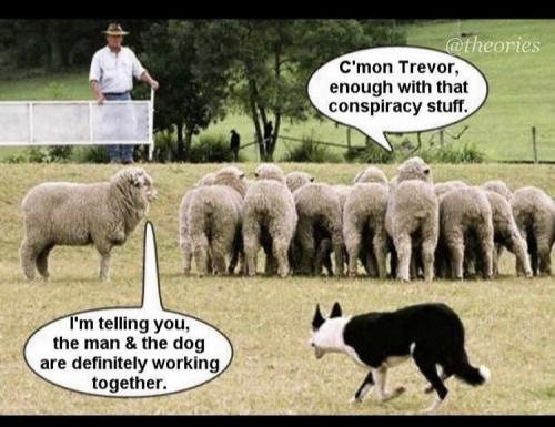 1136b34a-5721-45c2-a1bb-a8e9be208dfed