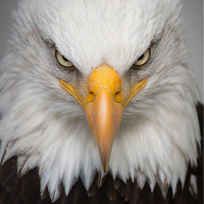 B28A3FA2-6613-42E4-A562-73A2906F4C3B