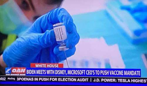 Disney & Microsoft CEOs Meet Biden to Discuss Vaccine Mandates