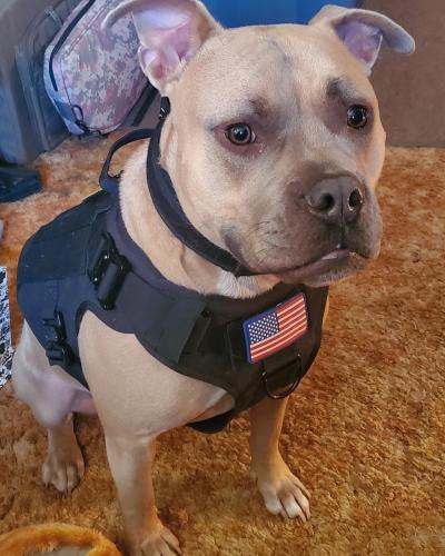 IMG_20201217_155724_134