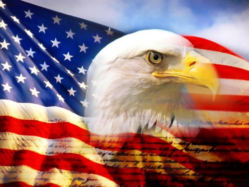 American Eagle and Flag-1