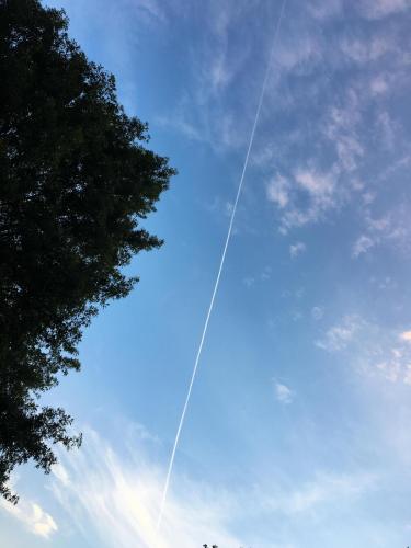 166EA17E-0775-4717-AD47-2C1692059D1B