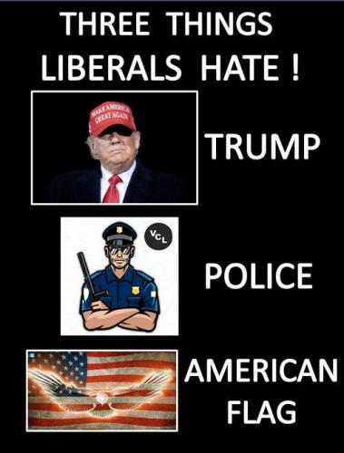 61c127373a90a351ac248b46f4483230_500x0