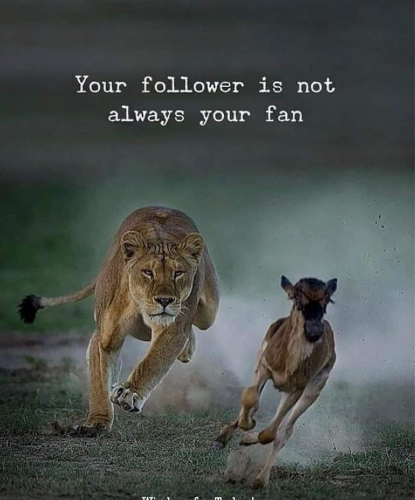 follower