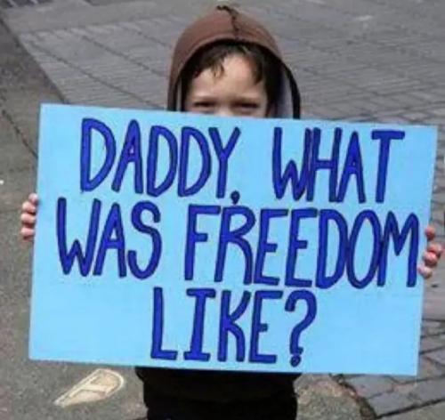 Screenshot_20210927-065101_Gallery