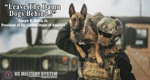 war dogs
