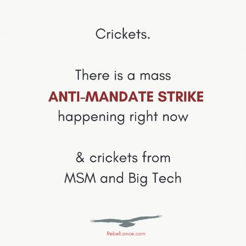 C6620551-D68E-4BC0-9623-AACF32305F61