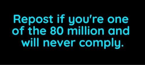 photo_2021-09-15_14-19-24