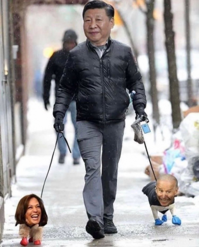 gook-walking-his-dogs