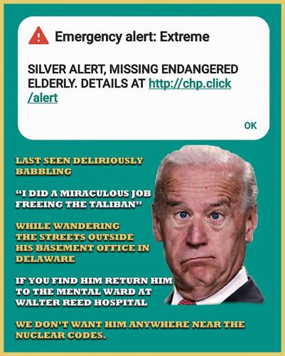 1-1-A-A-A-A-A-A-BIDEN-COMEON-MAN-BASEMENT-ALERT-FINAL