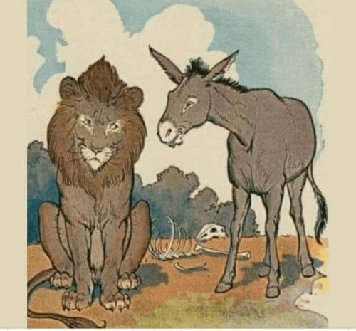 tiger donkey