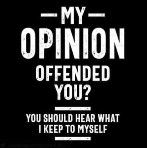 opinion