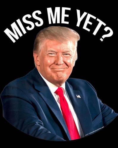 president-donald-trump-miss-me-