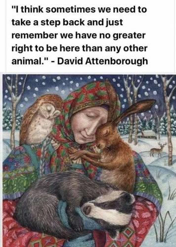 37407662-CFDC-4A62-A5DA-153868A2EE8D