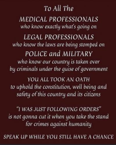 C professionals