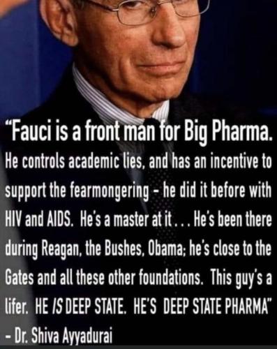 fauci