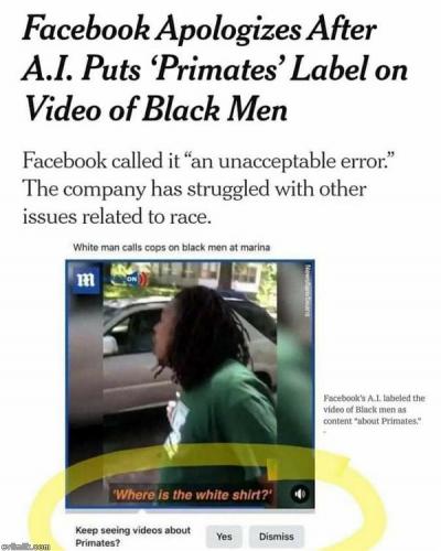 FB primates