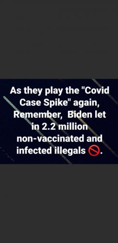 071D8080-4BF5-467D-971B-E8943E54D47B