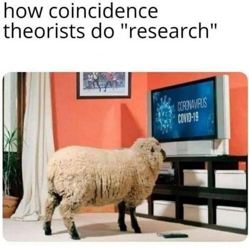 3EEF77FE-5B22-4994-8542-B043BA6DA771