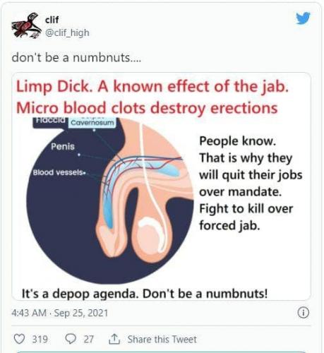 xephula_90487feb08132cce101595febf779b0b