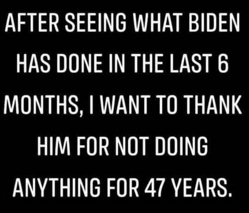 ac31351e401d0729efbc98bb3c9be0c1_500x0