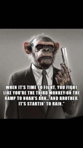 6E306A09-B058-4729-8D28-B68DC48036BD