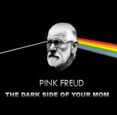 Pink Freud