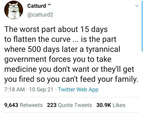 photo_2021-09-13_09-35-11