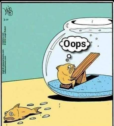 FB_IMG_1632100140915