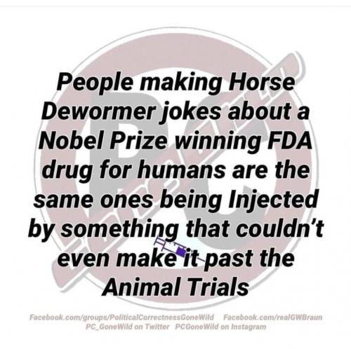 horse dewormer