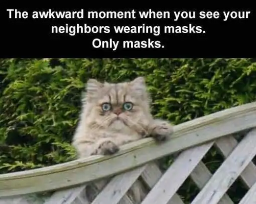 C7F5E1E3-961C-4C2E-8EA0-E65C9E0E4348