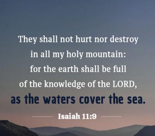 Isaiah 11.9