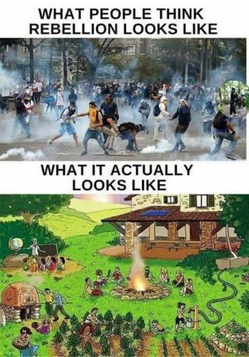 photo_2021-09-15_07-22-47