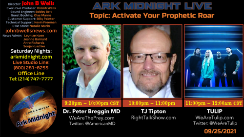 Ark Midnight - Caravan To Midnight Banner