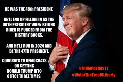 Trump 454647