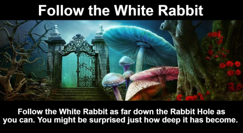 Follow the White Rabbit