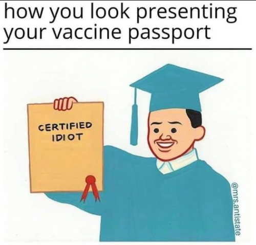 Certified Idiot